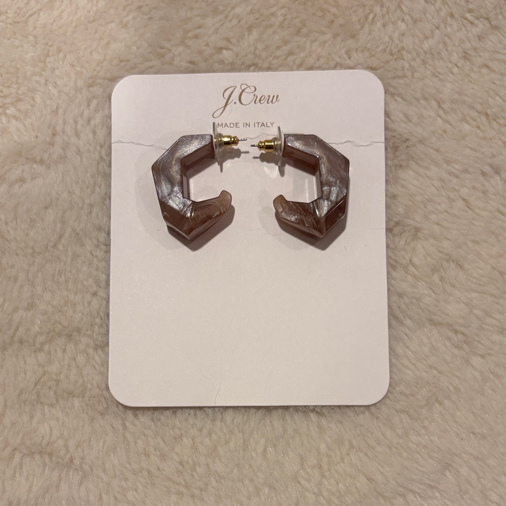J. Crew Metallic Silver and Earthy Brown Earrings